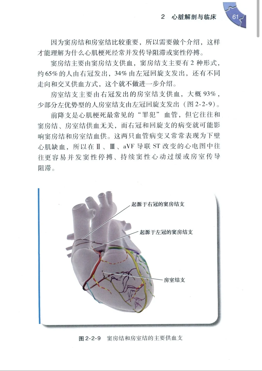 【PDF版】心血管内科医生成长手册pdf电子书