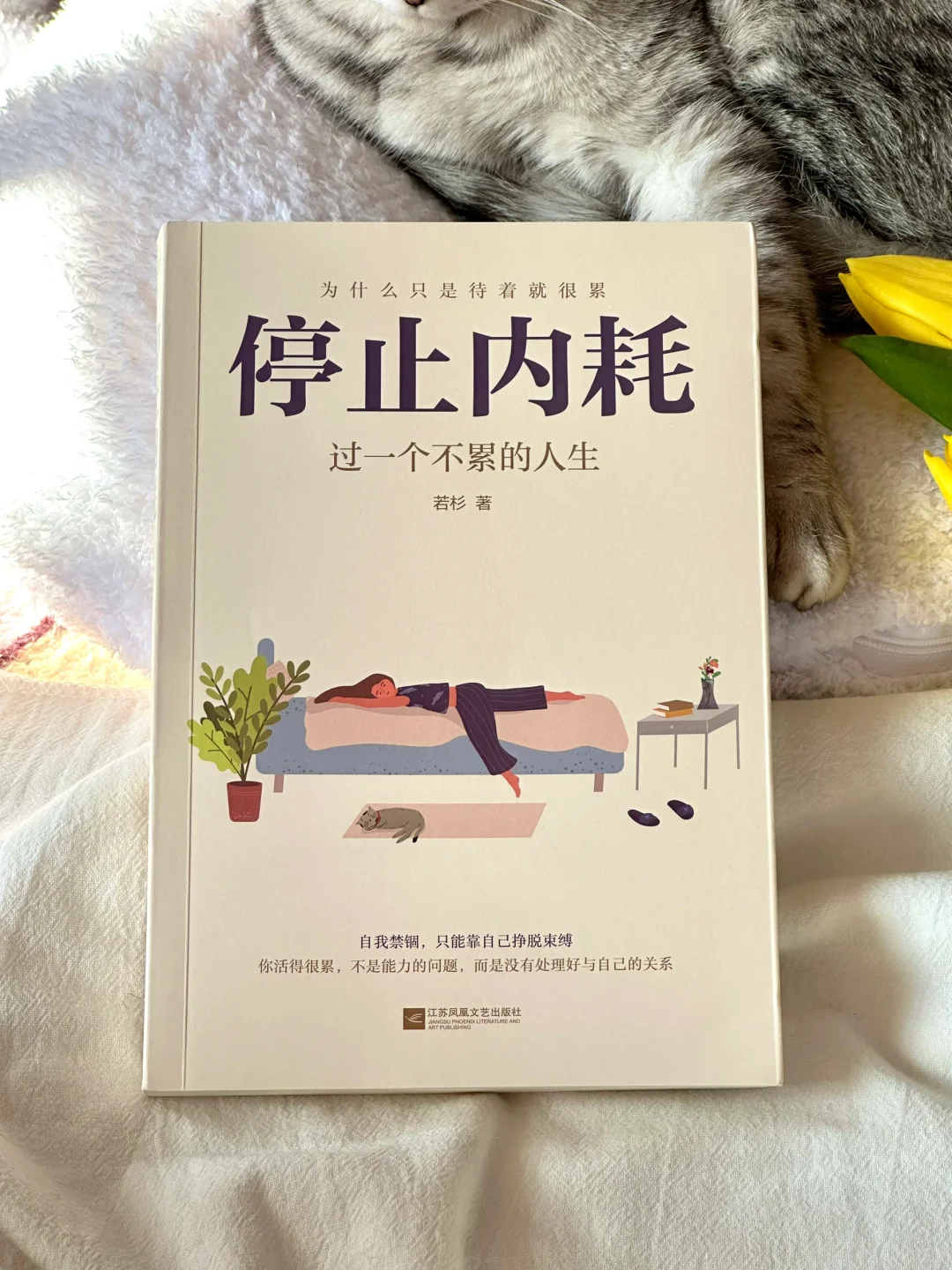 怎么会有这么通透的书啊！真的太太治愈了😭