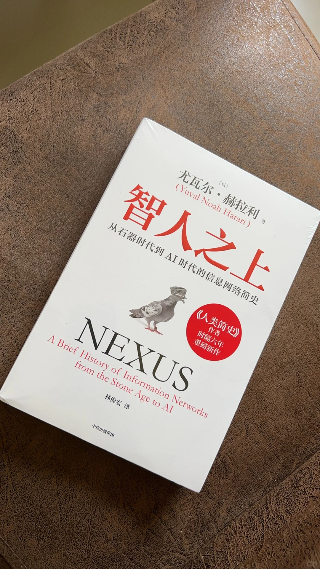 大赞智人之上！