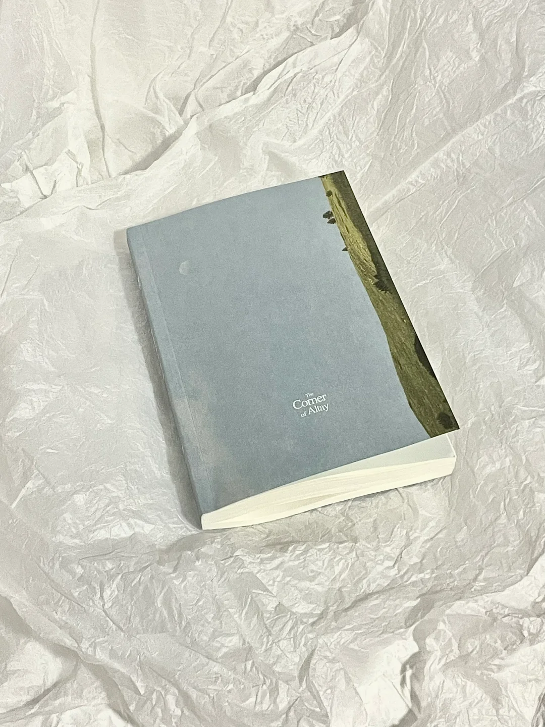 “自由一旦漫开，就无边无际。”