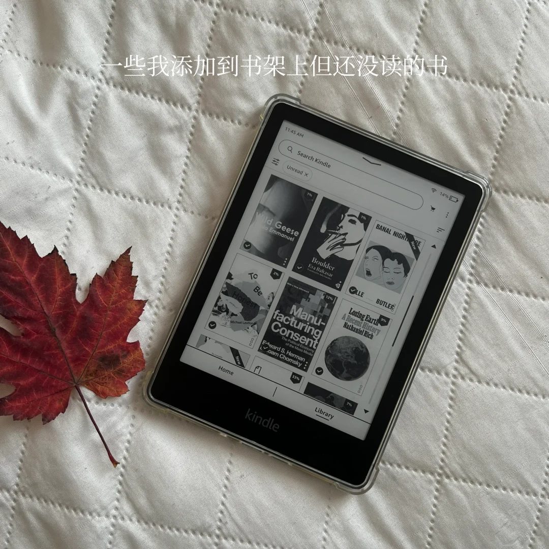 我的Kindle