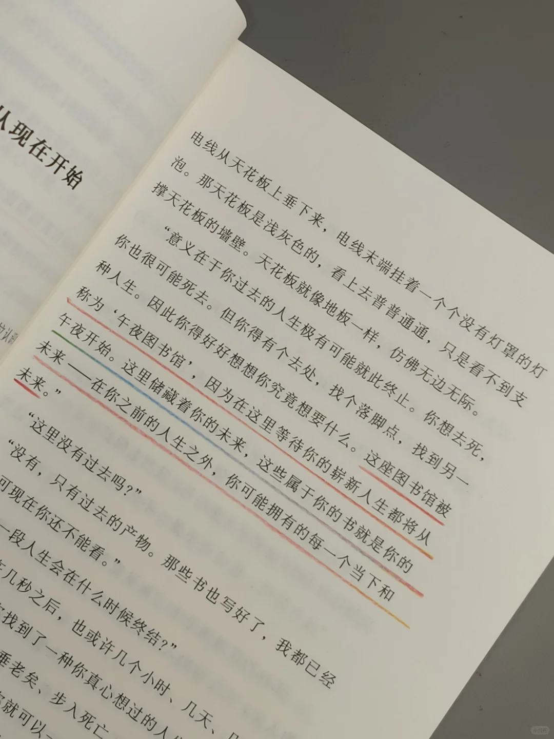 我宣布，这是今年读到最治愈的一本书！！