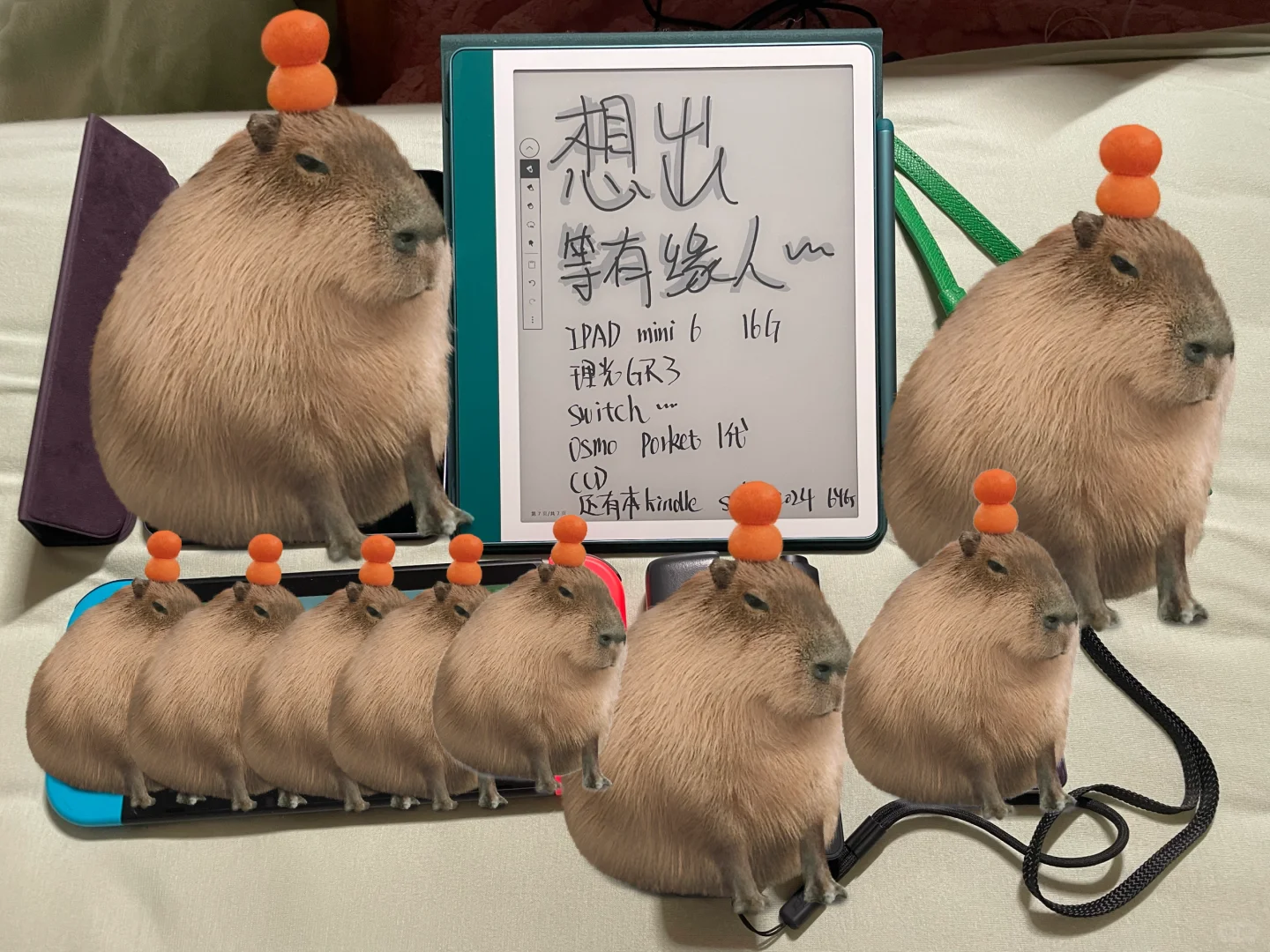➗二手白月光