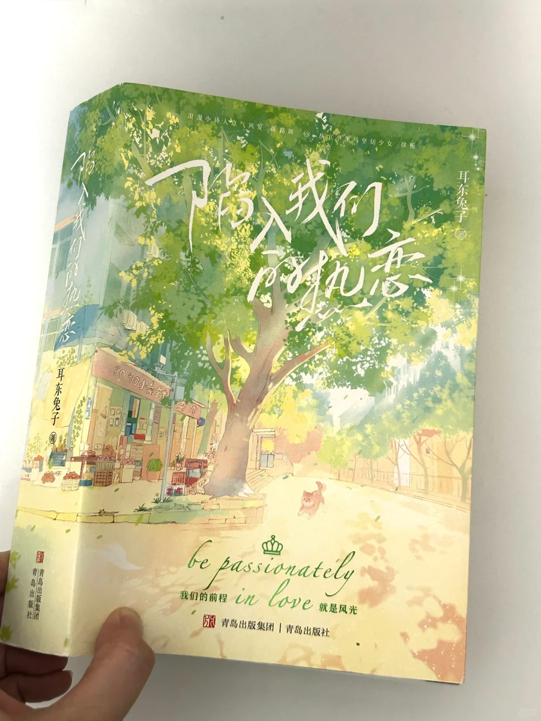 夏日炎炎，一起在书里过夏天吧❗️