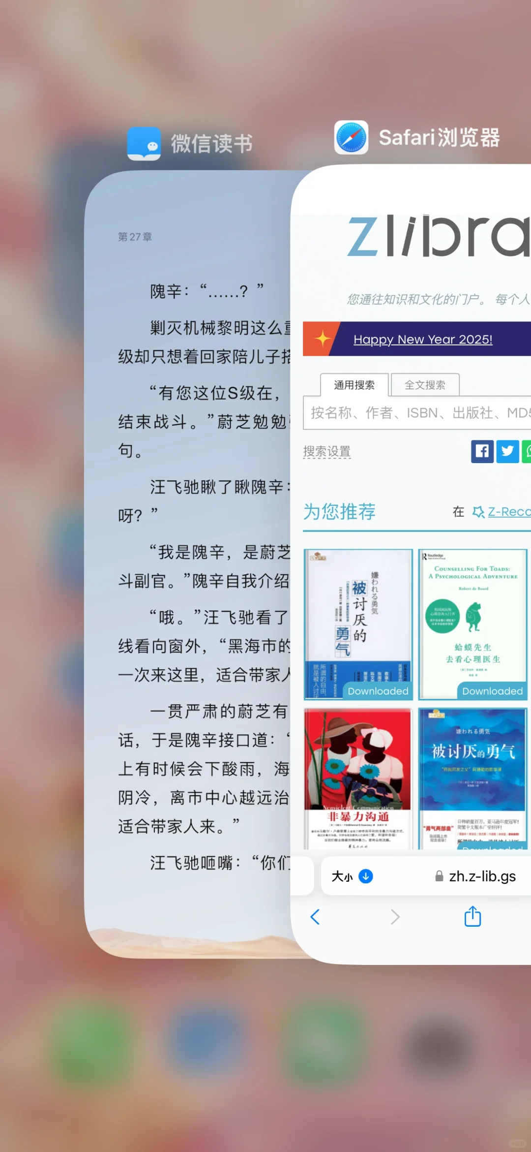 z-libraray最新自取