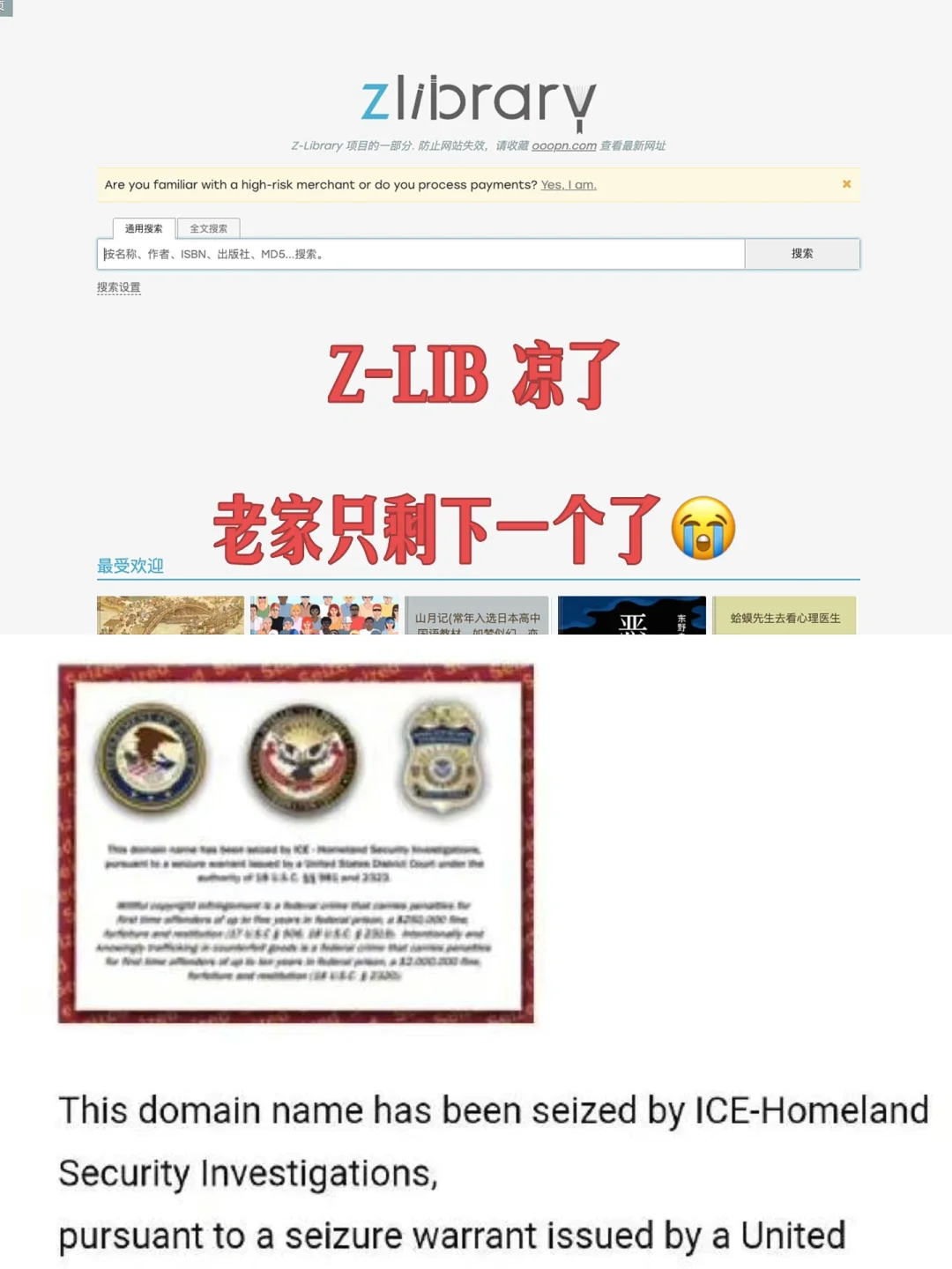 Z-lib凉了，还有哪里能下载电子书？