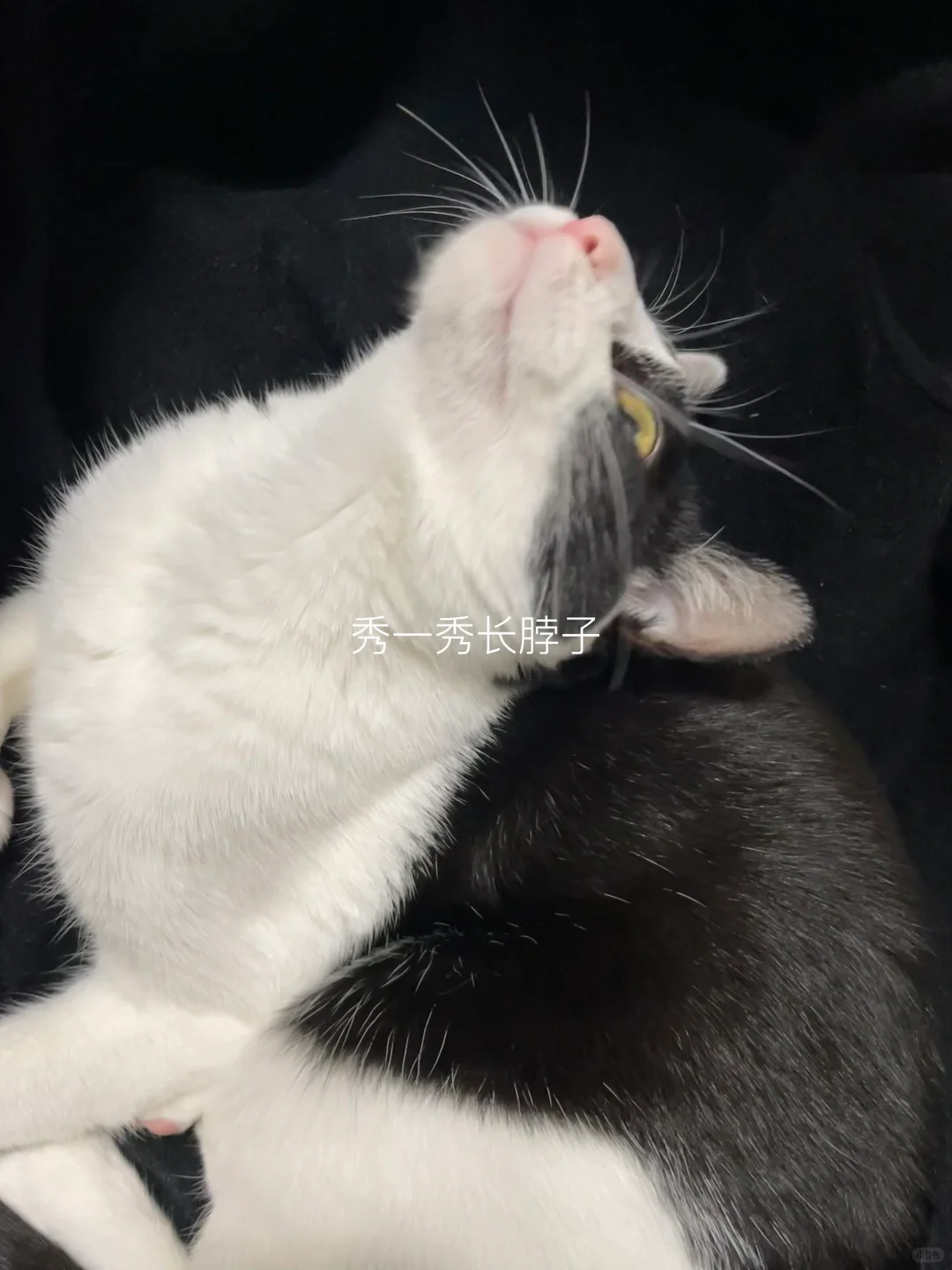 调色｜与其被定义 何不自定义