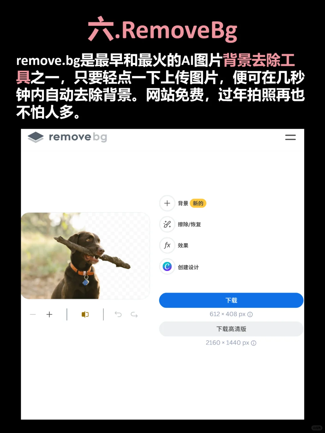过年必备6个网站，让假期更有趣！