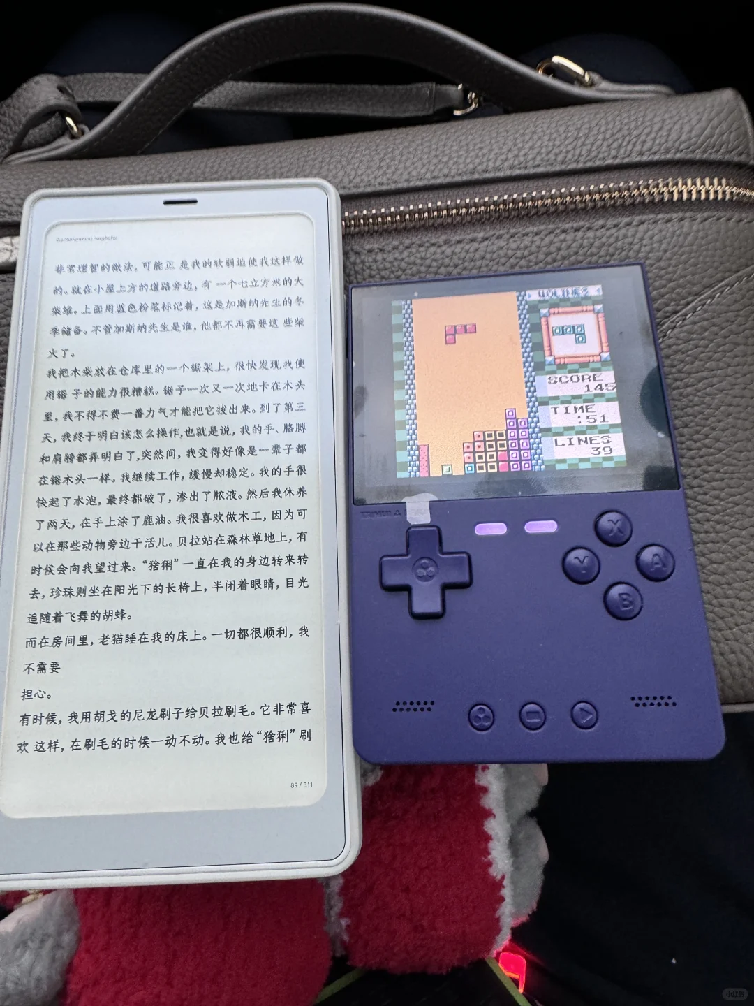这场自驾，谁的快乐是满分？🚗