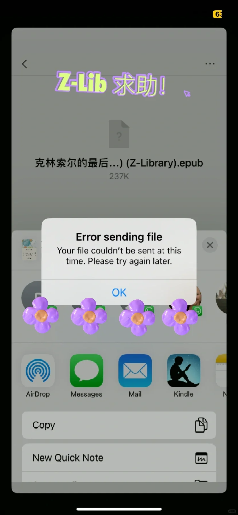 求助 突然没法用z-lib下载到kindle了