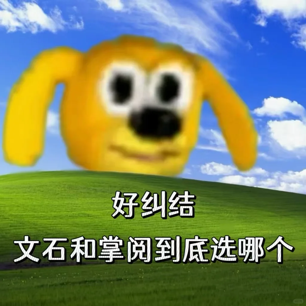 好纠结，文石和掌阅到底选哪个