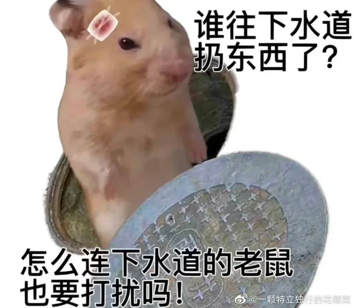 Z-lib 无了
