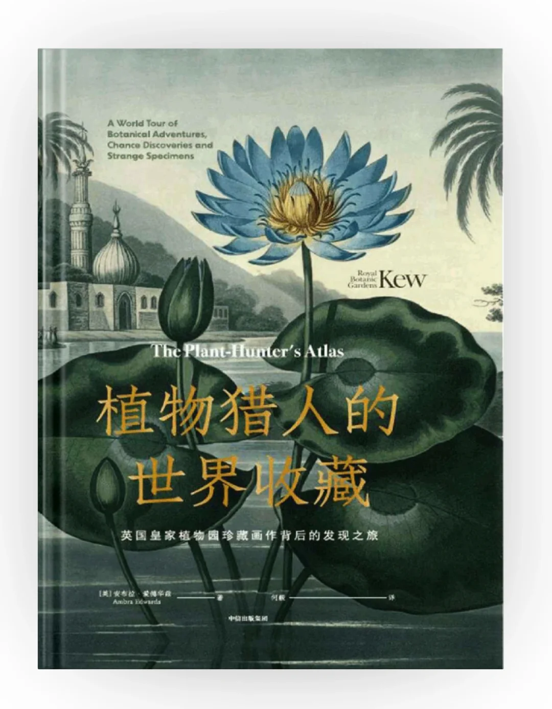 每日更新|zlibrary新🔗实现读书自由
