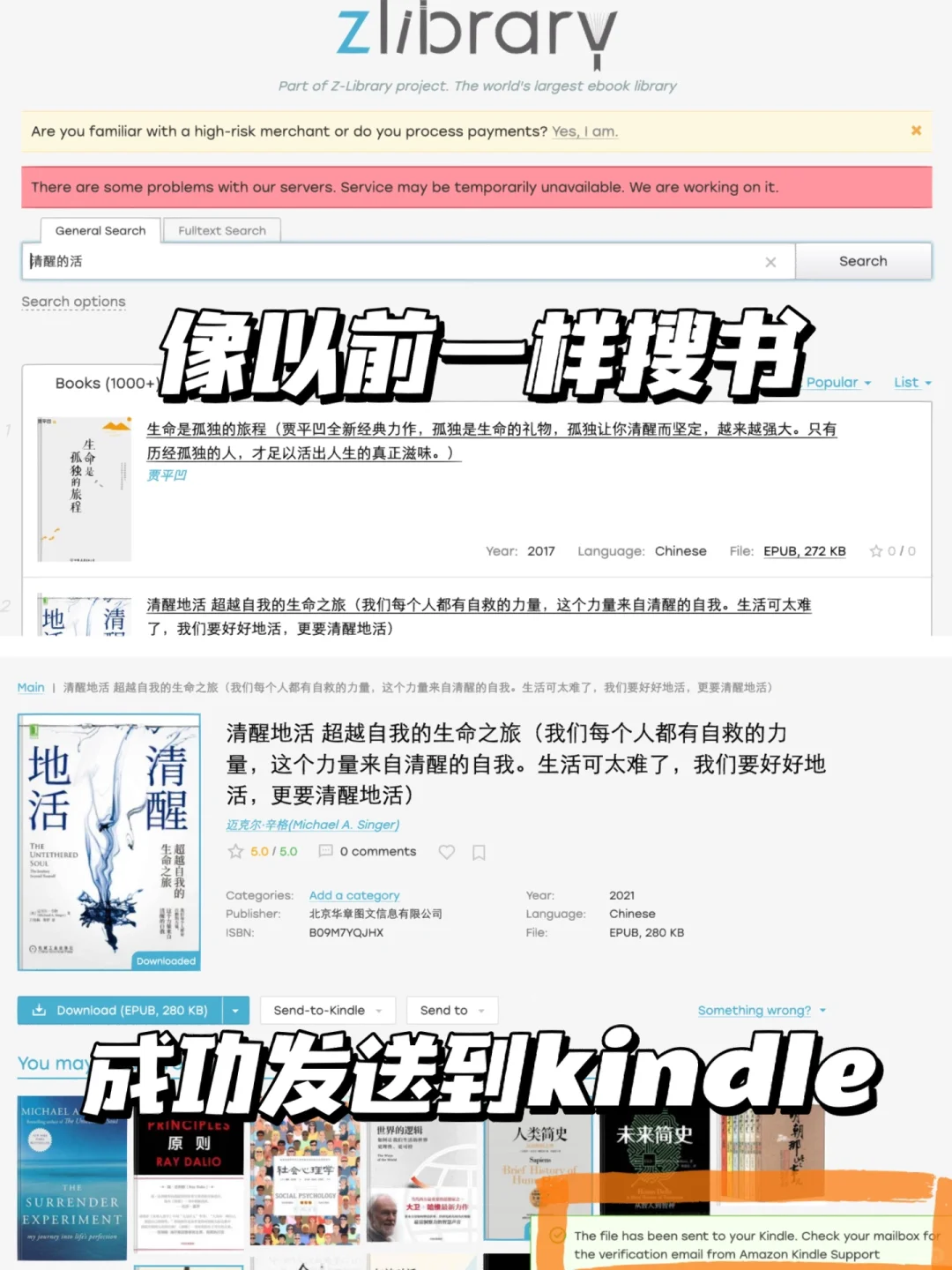 Zlibrary没了？大家别担心，只是暂时的！