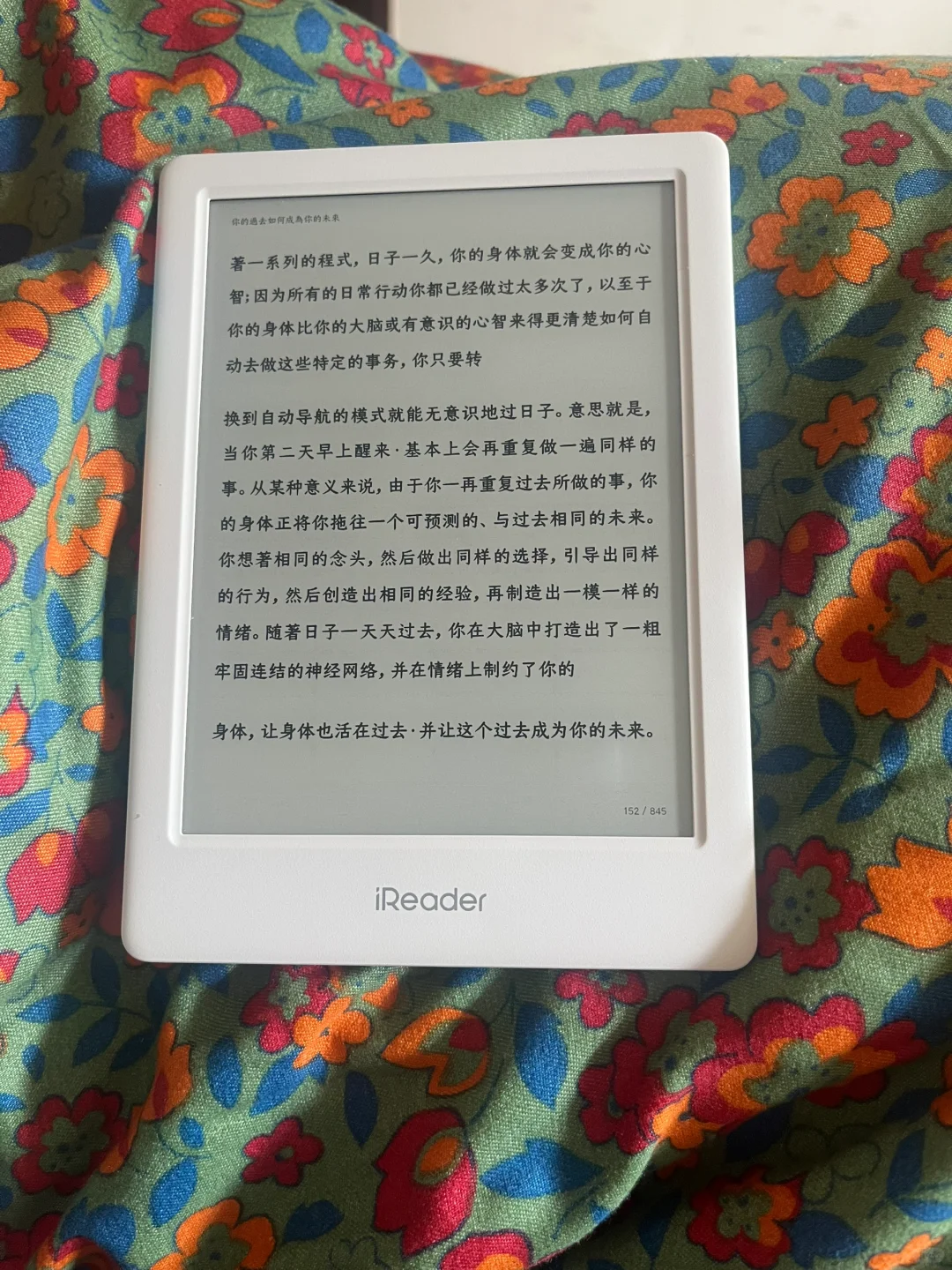 新的一年是谁给自己买的礼物😎