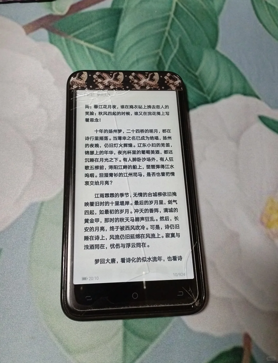 2024的新宠口袋阅，2025继续陪伴我吧