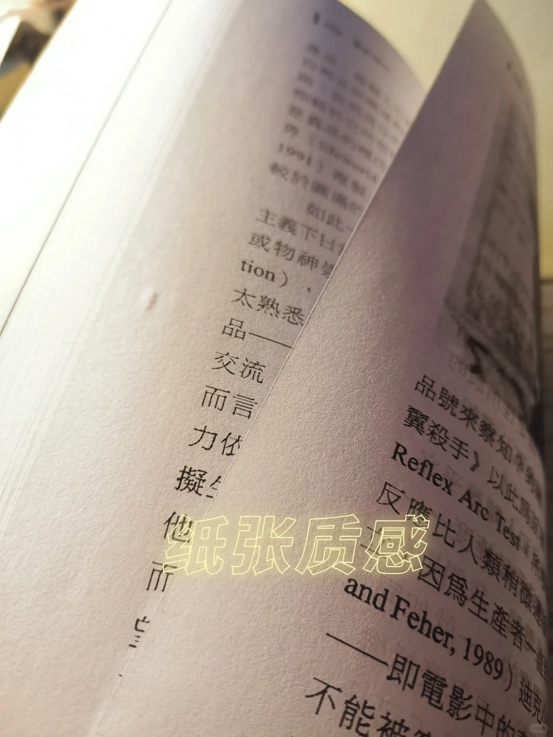 论文不用愁|一键三连实现图书自由