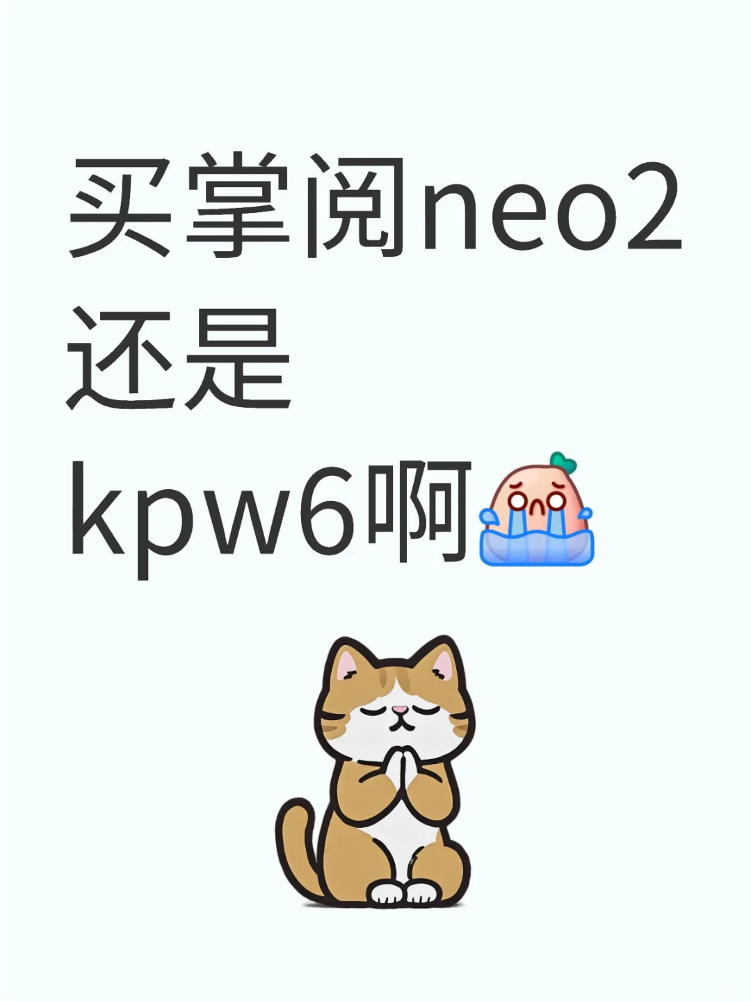 现在纠结这两个啊