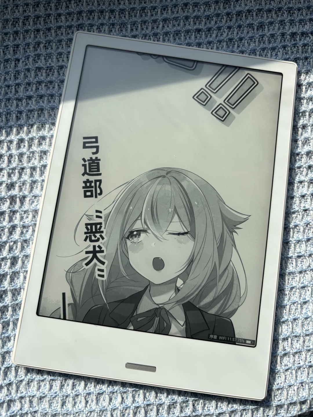 这颜值绝了！