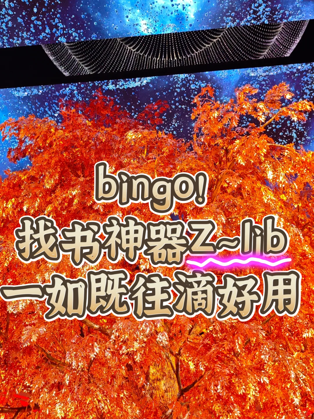 bingo!找书神器Z~lib一如既往滴好用