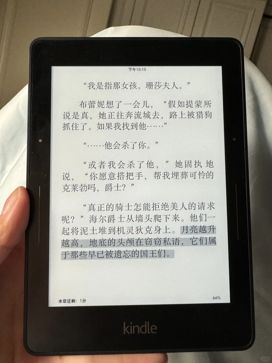 iReader O4t