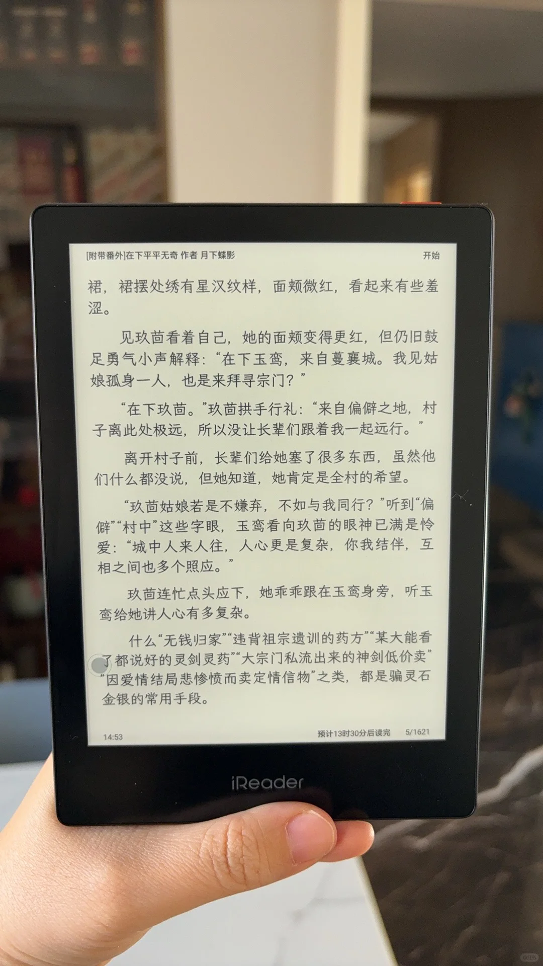 关于墨水屏阅读器会生崽这件事
