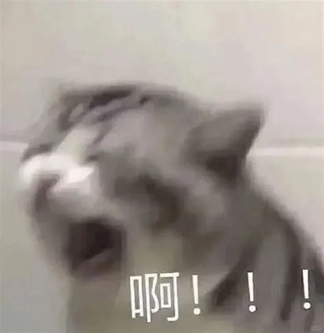求一个看番茄不卡的6寸阅读器