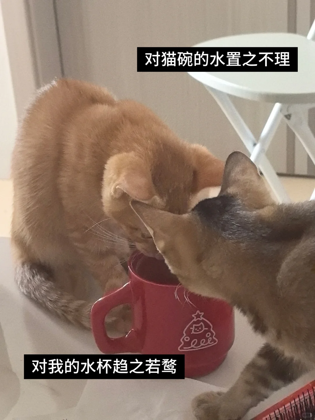 如果足够勇敢，应该扛起问题往前走