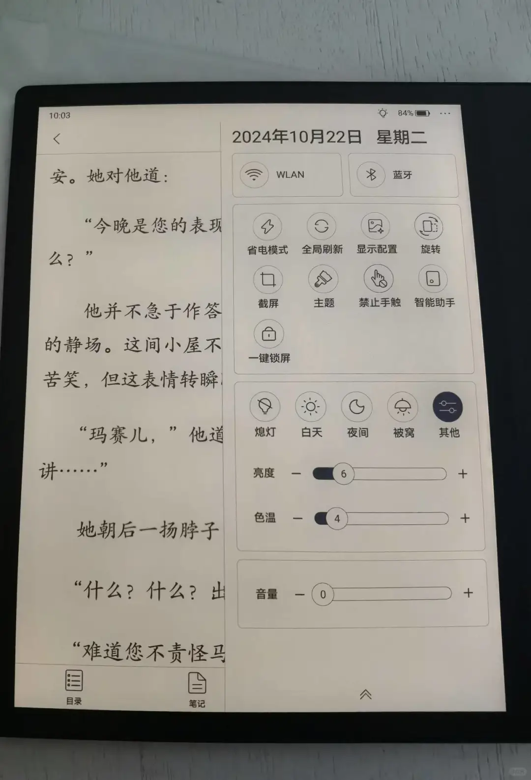 替掌阅iReader Ocean4 Plus说句话