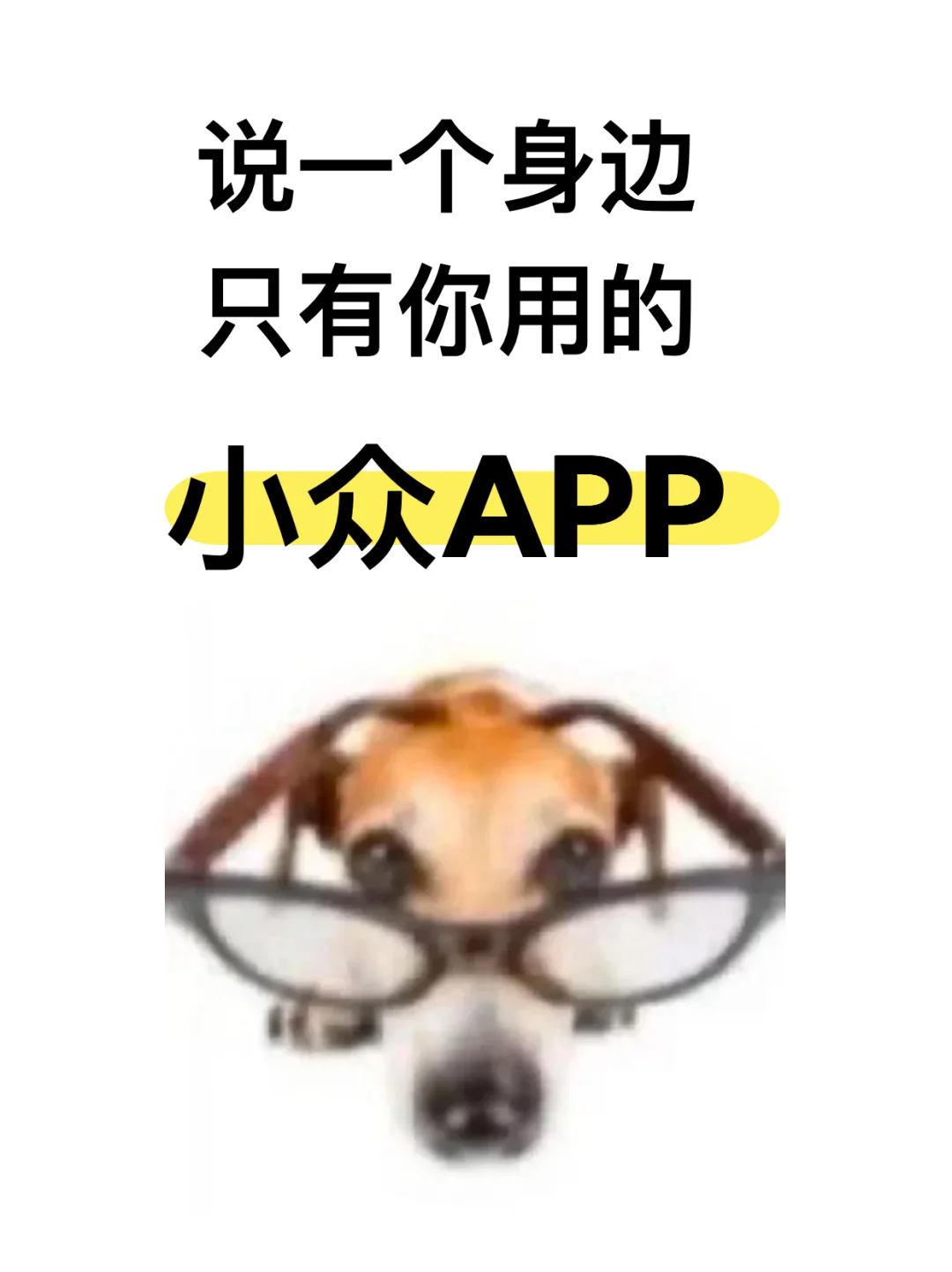 说一个身边只有你用的小众APP