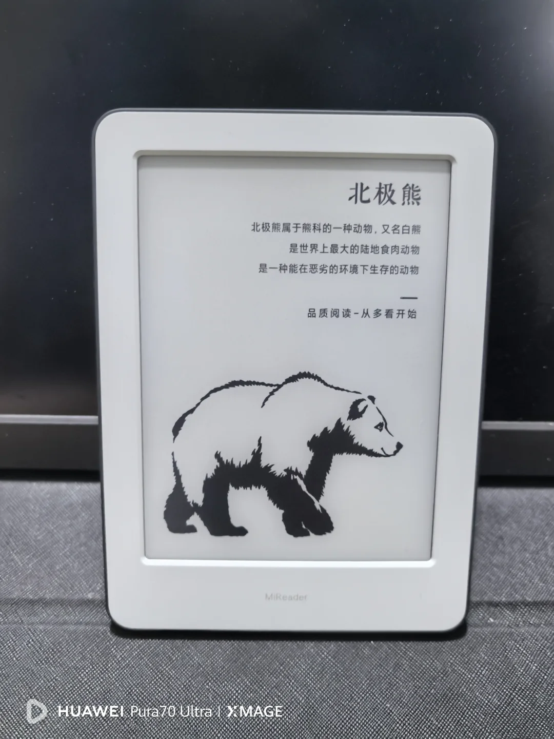 元宵节快乐