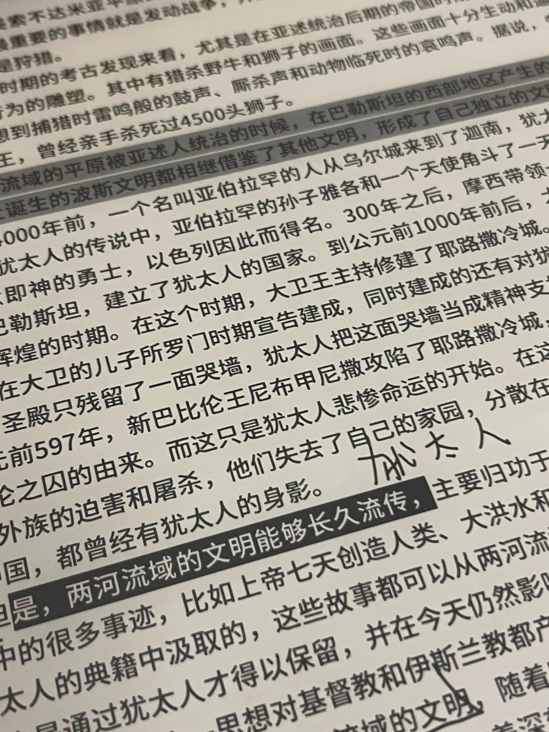 新年宅家好物：每一件都是幸福的具象化