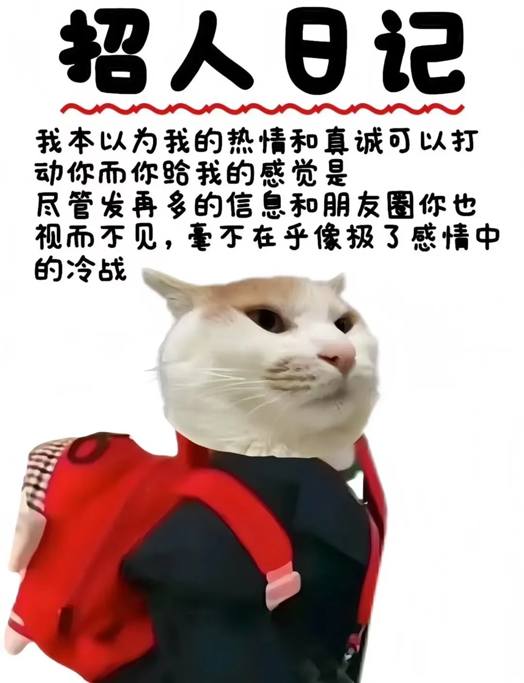 峄城区缴纳五险一金的工作