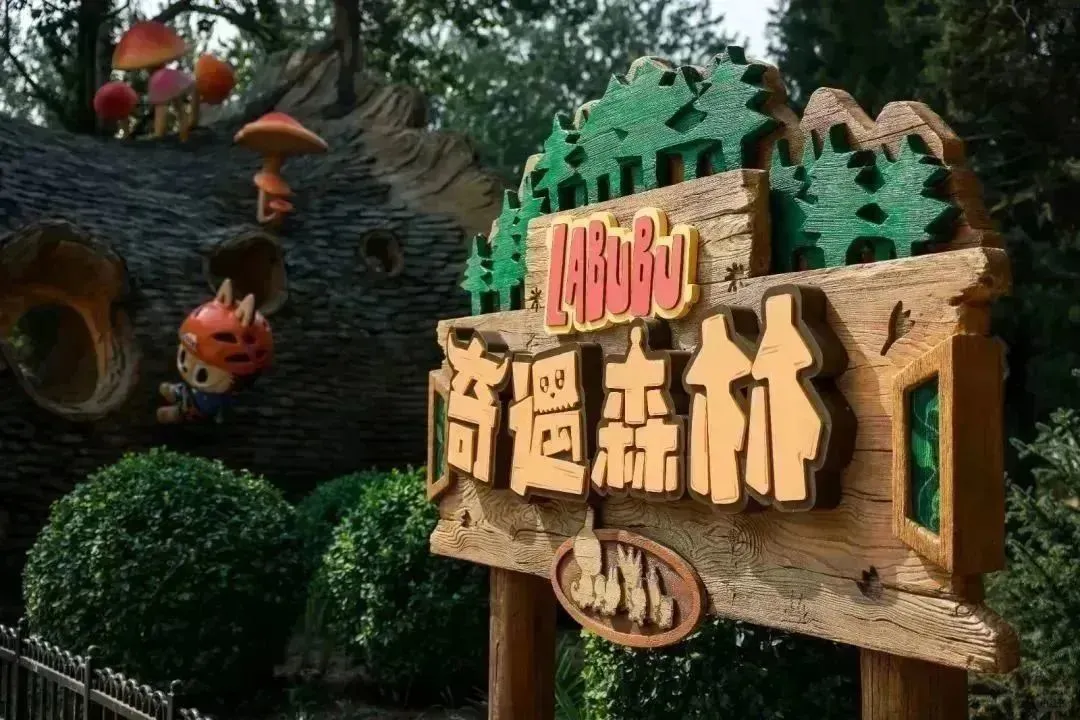国际乐园的“秘密安检官”：护照阅读器