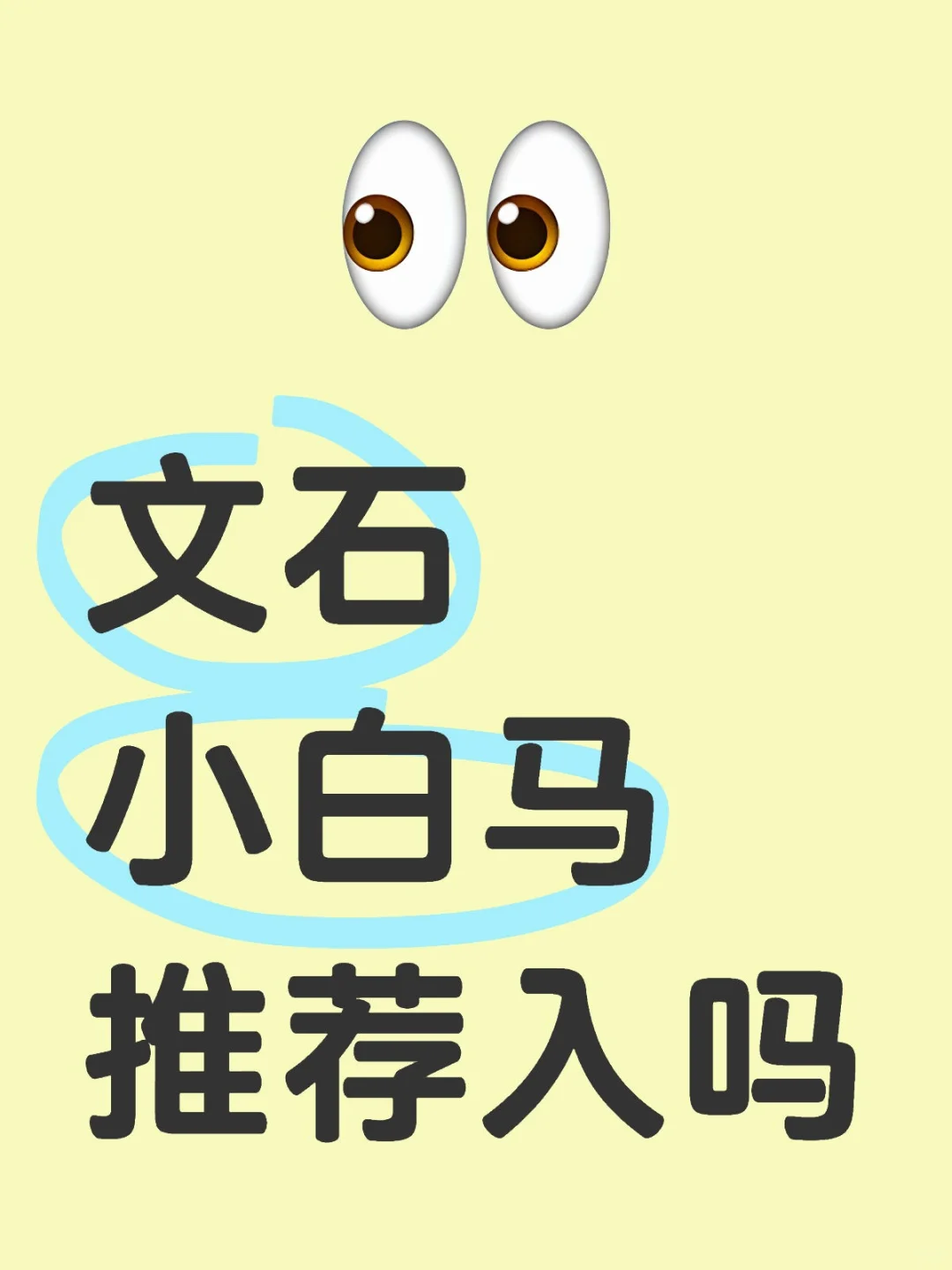 文石小白马推荐入手吗