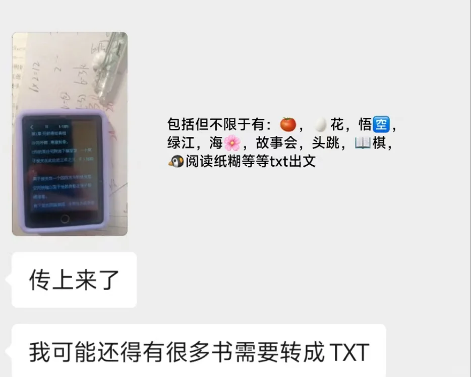 可以传p3p4电话手表阅读器