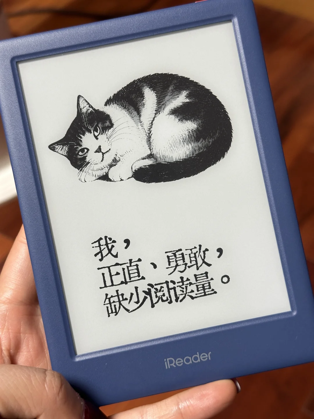 让我看看大家的墨水屏阅读器的保护壳吧