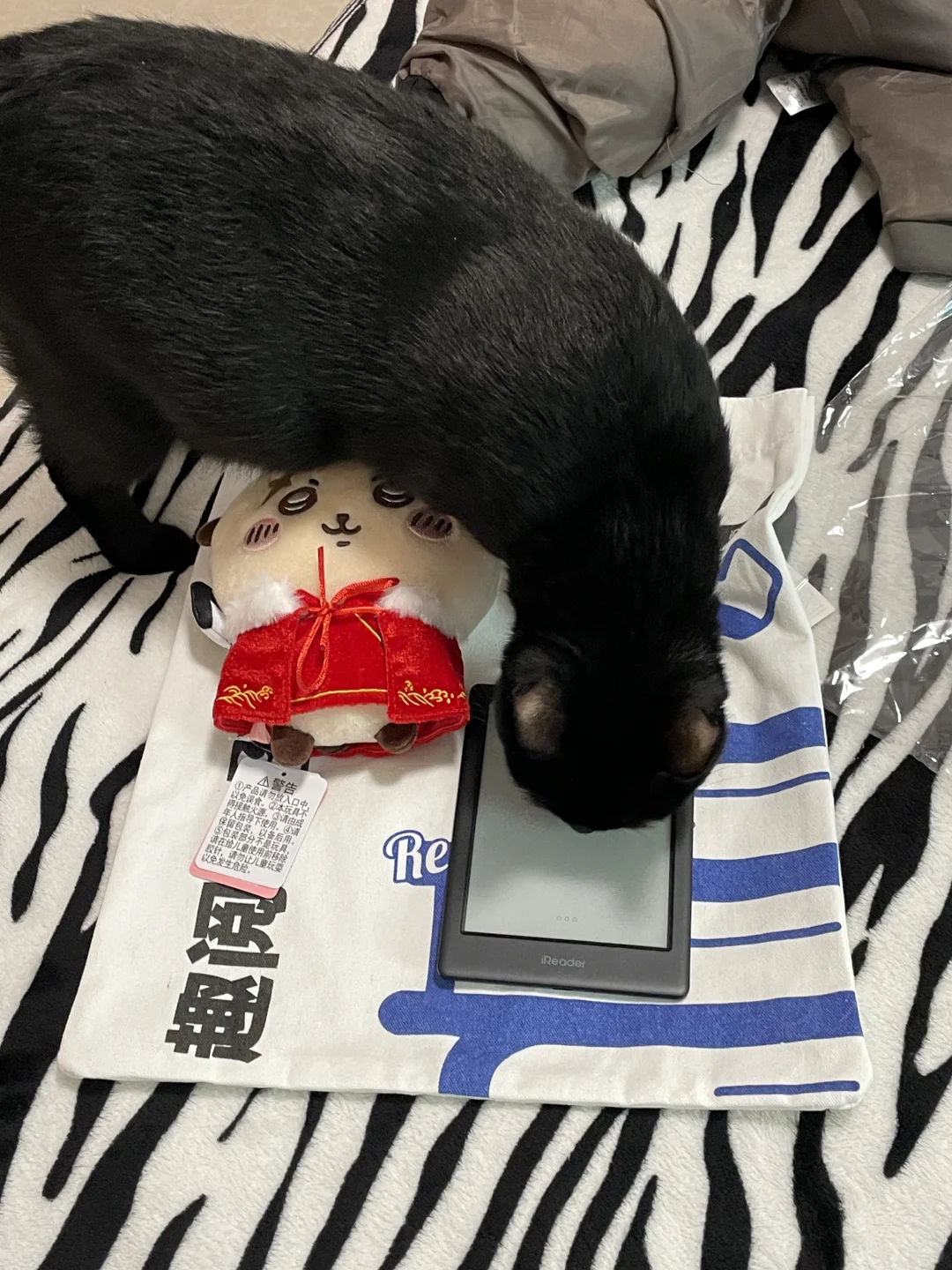 掌阅light3到了