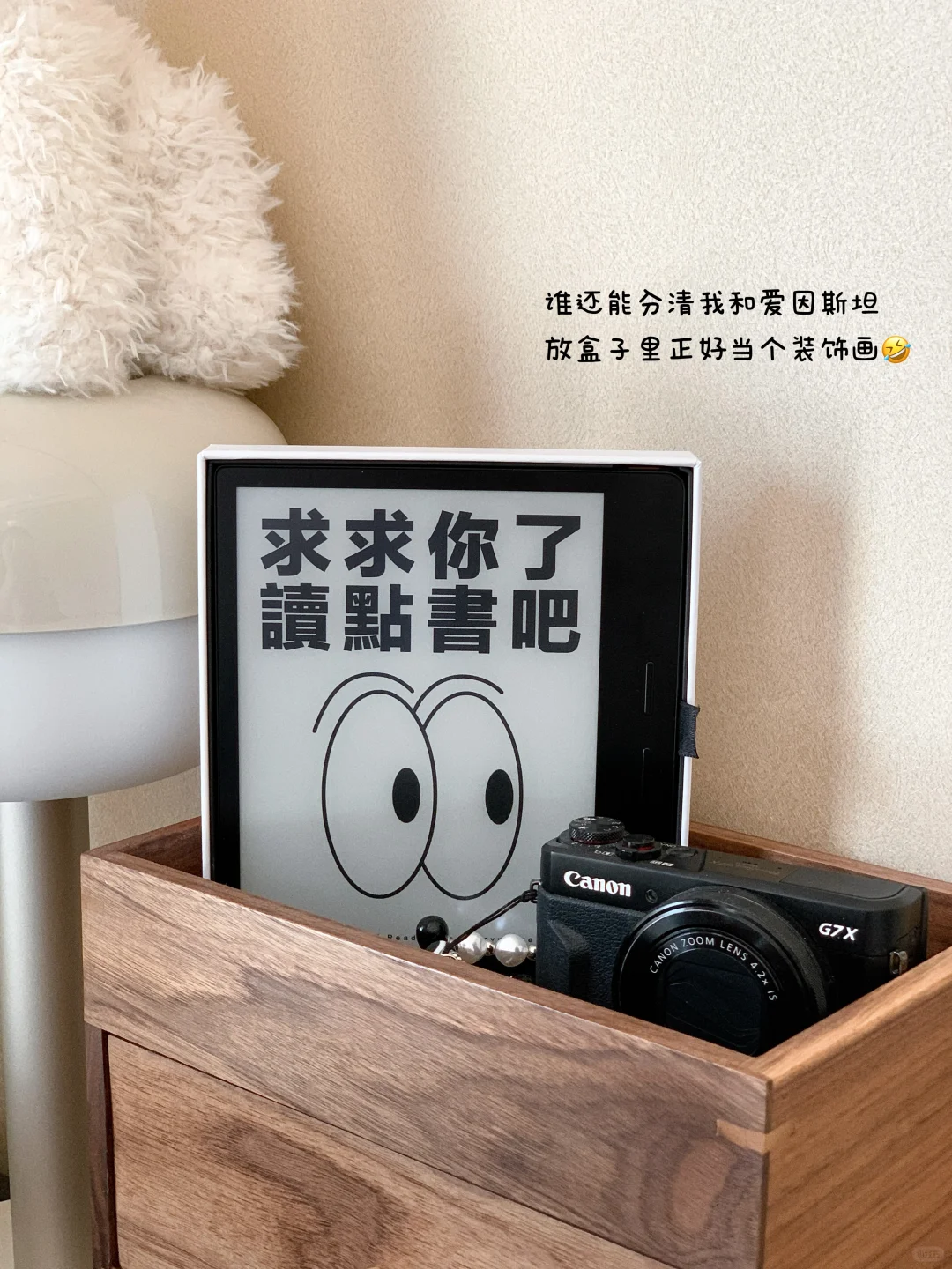 INFJ moments：春天高含金量瞬间💕