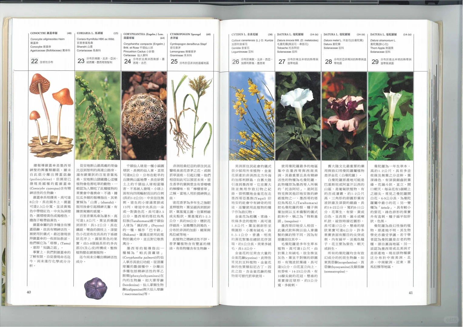 📚书评（五）跟着植物去全世界旅行