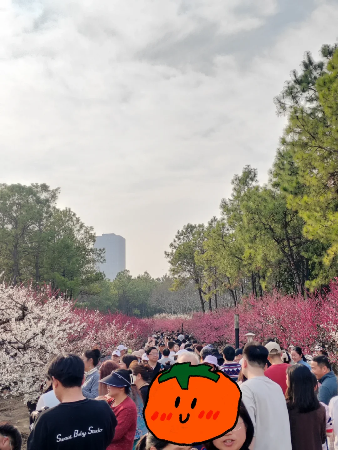 是谁借到了上图电纸书