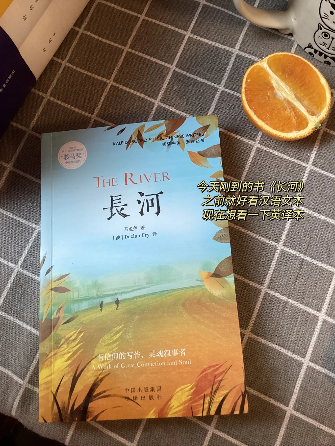 建议研究生建立个人SOP，提高科研效率