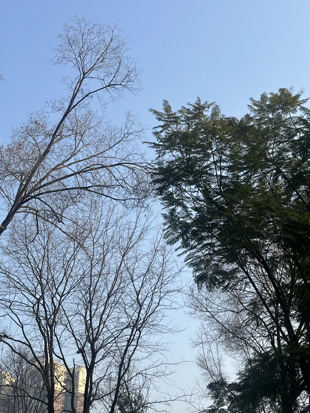 “书读多了，内心就不会决堤。”