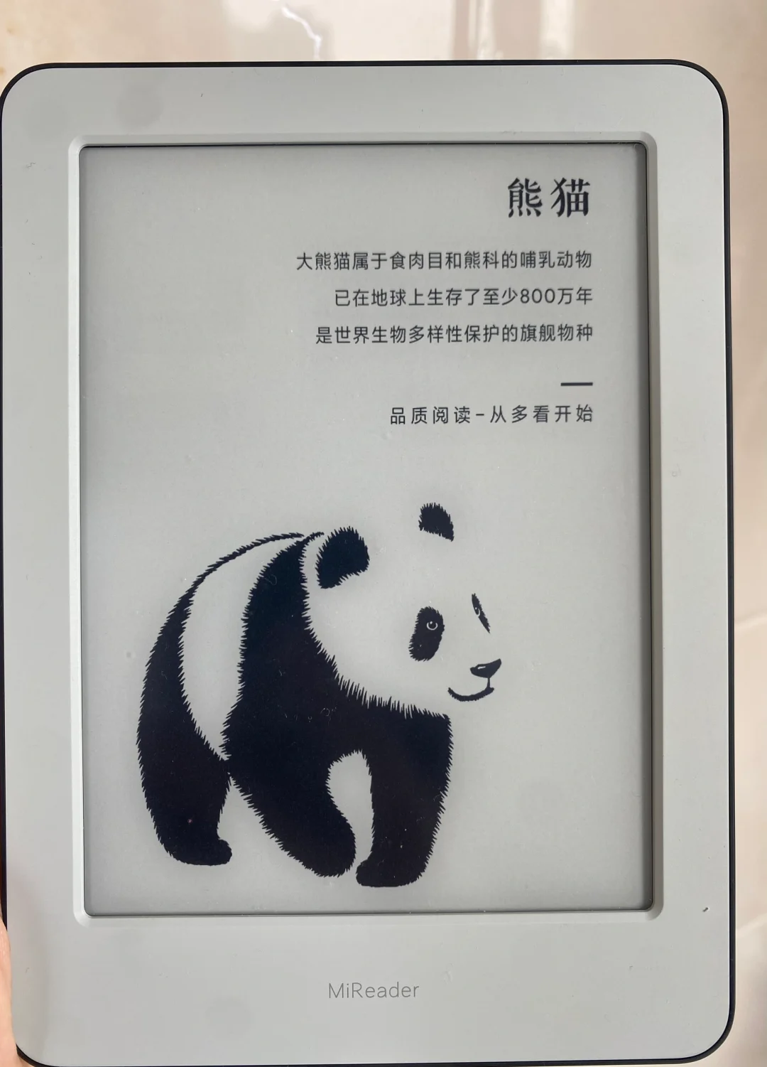 新入的电纸书阅读器