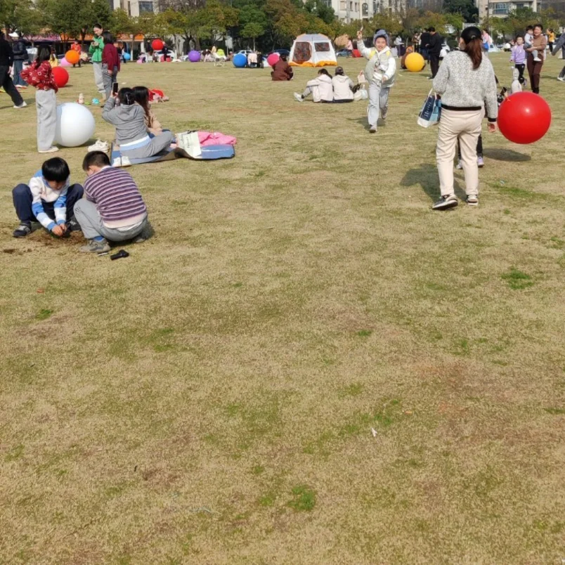 春日读书会🌱