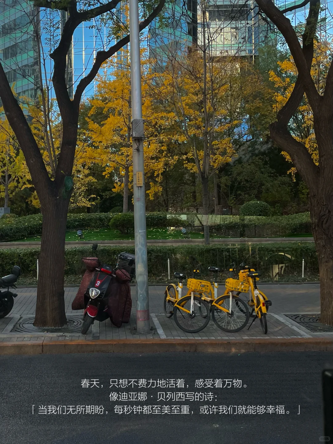 我的解压方式：独处 散步 逛公园 阅读