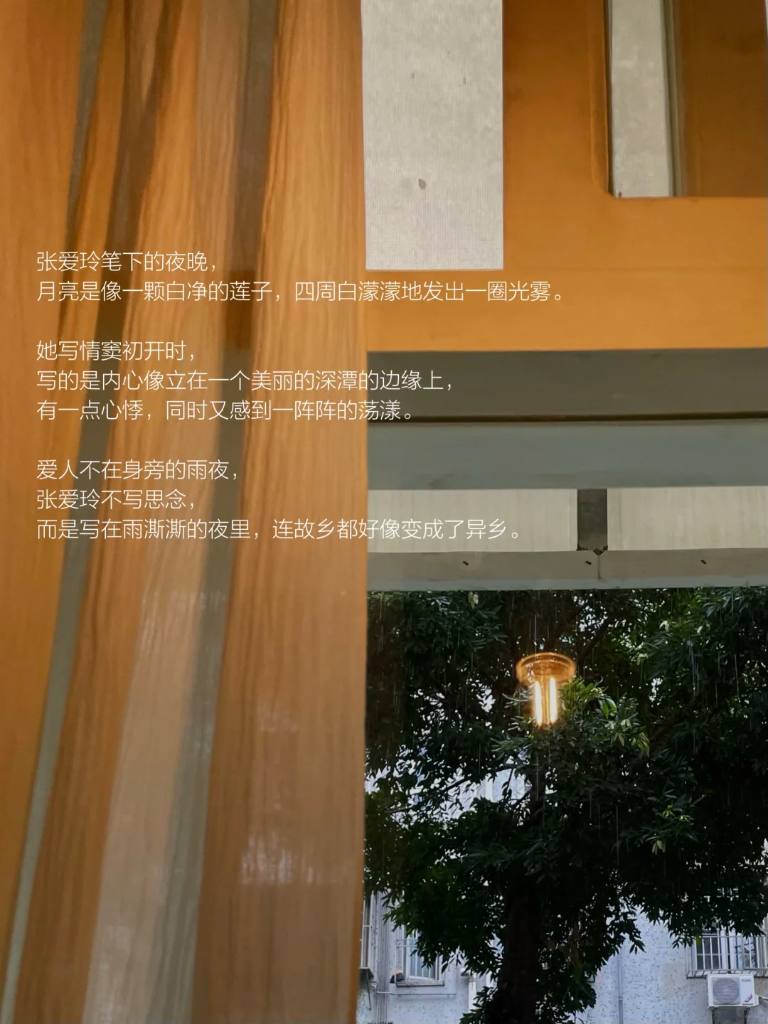 我的解压方式：独处 散步 逛公园 阅读