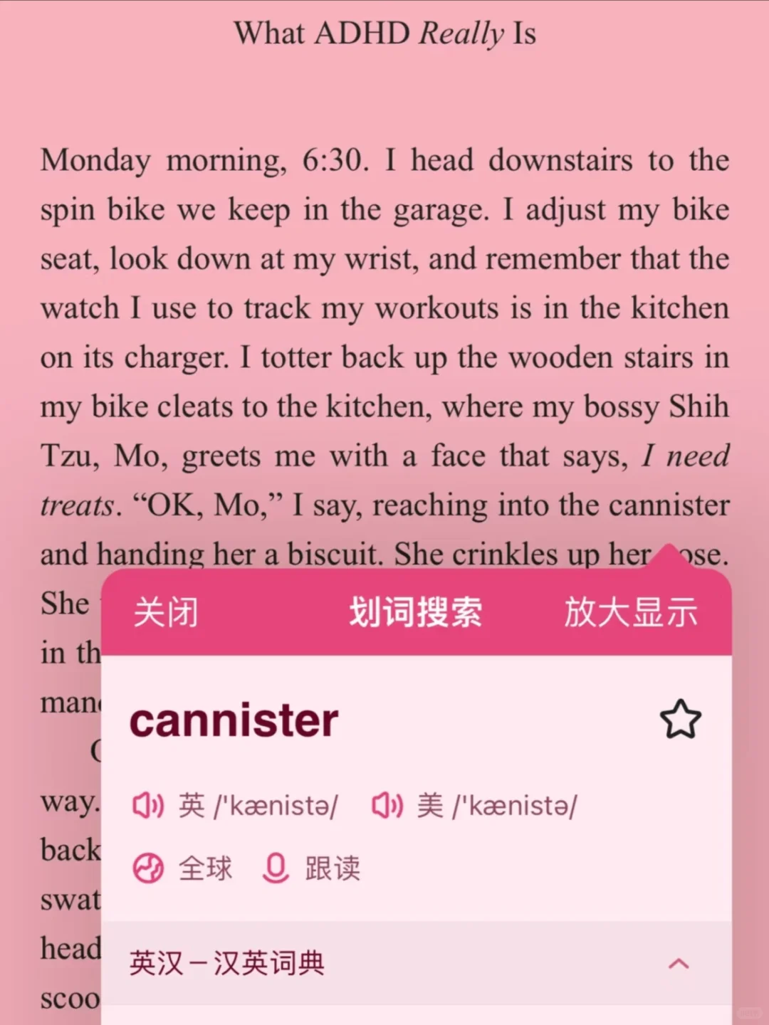 Z-lib网址和可充当阅读器的欧路词典