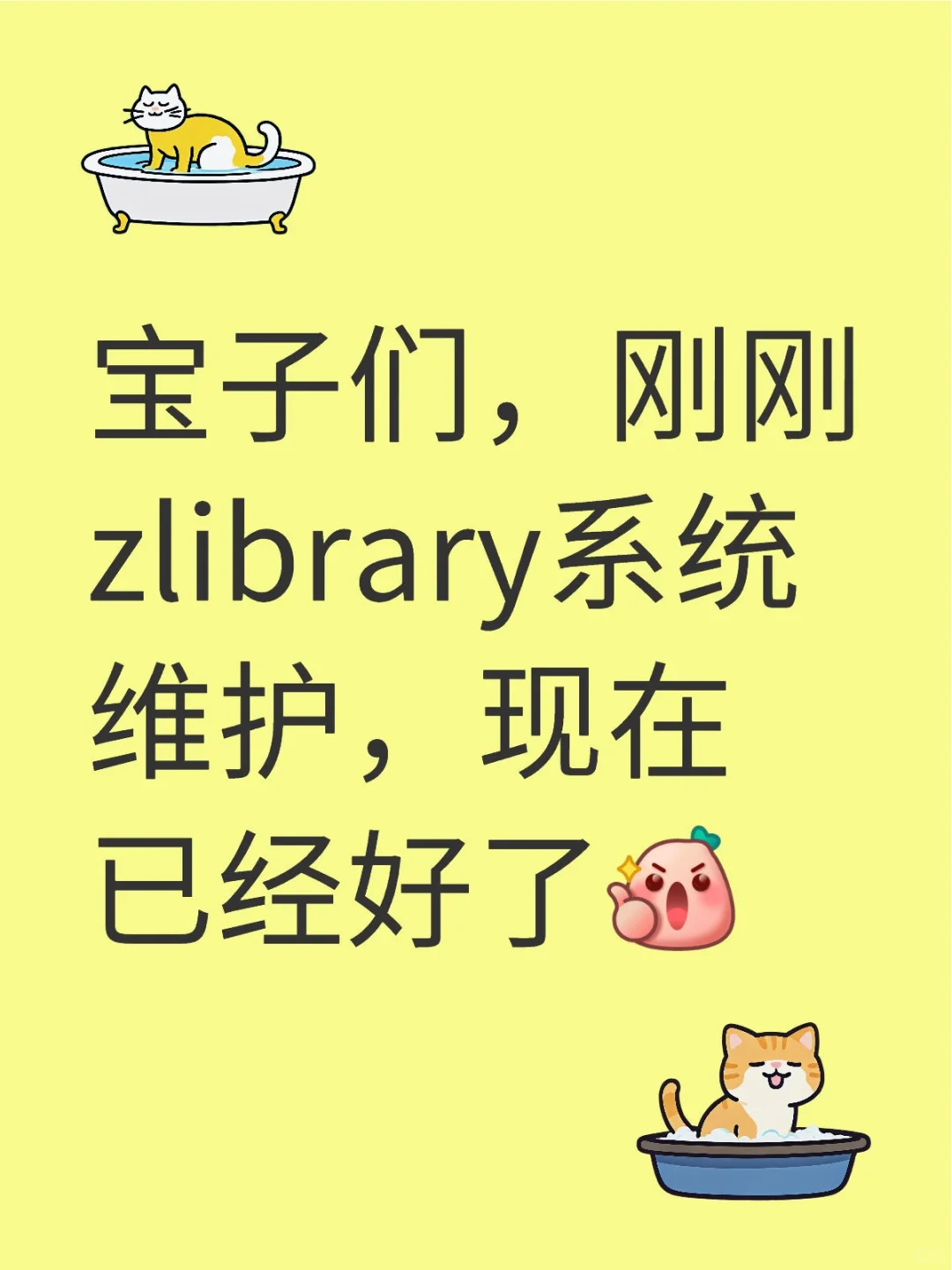 zlibrary系统维护2025年03月05日