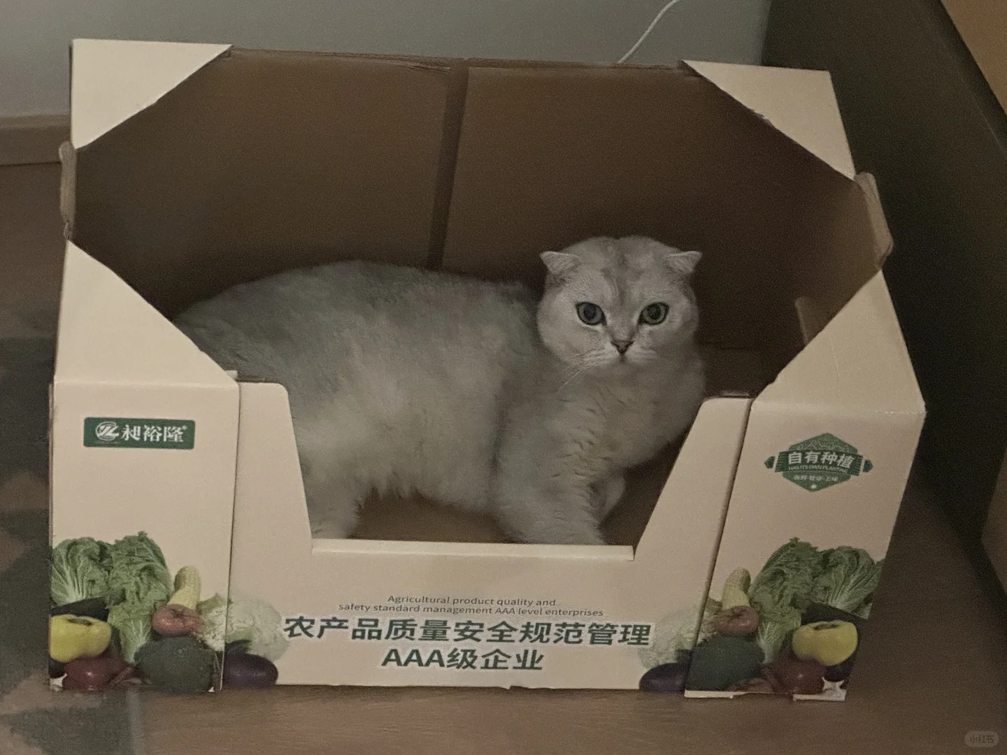 想要个电子阅读器